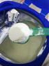 飞鹤星飞帆卓睿 婴幼儿配方奶粉2段(6-12个月)300g【新客0元试用】 实拍图