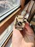 ACEBEAM X20-R战术手电筒强光充电超亮应急户外长续航大功率远射巡逻专用 X20-R沙色 最新CREE XP-LR 9000流明 偏远射 平头LED 实拍图