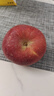 京鲜生 烟台红富士苹果 净重5.2斤/12粒  单果190-240g  水果礼盒 实拍图