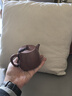 藏壶天下【政府补贴】宜兴紫砂壶纯手工家用紫砂茶具原矿底槽清泡茶壶汉铎 实拍图