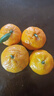 尔蝶广西砂糖橘桔子蜜橘10斤新鲜水果当季薄皮沙糖桔整箱橘子 精选5斤装 净重4.5斤 实拍图