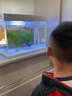 森森（SUNSUN）超白鱼缸一体缸自循环客厅桌面小型家用水族箱HEJ-380 实拍图