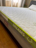 红蜻蜓（RED DRAGONFLY）乳胶床垫1.5米x2.0米记忆棉软垫家用卧室榻榻米垫子海绵租房专用 印花双拼-白绿【厚约6cm】 双人床-150x200cm【不易塌陷】 实拍图