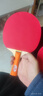双鱼（DOUBLE FISH）乒乓拍036A横拍双拍初学者高弹力训练成品牌套装 附3只球 实拍图