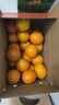 玖原农珍 赣南脐橙新鲜橙子含箱10斤净重9斤优选果150-300g 年货水果礼盒 实拍图