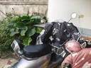 绿源（Luyuan）电动车冬季挡风被加厚电瓶车摩托车保暖加厚挡风被 黑色-大耳狗【加大斗篷款+护面护颈护肩】 实拍图