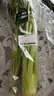 【有机】芹菜（西芹）400g 实拍图