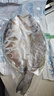 仙泉湖三去白蕉海鲈鱼1斤/条净膛冷冻刺少肉厚珠海特产500g生鲜食材 实拍图