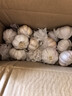 【热卖中】正宗紫白皮干大蒜农家大蒜头清仓批发商用便宜新干蒜 【带箱2斤，净重1.6斤以上】品质大蒜中果4-5cm 实拍图