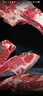 安格斯谷饲原切牛肋排带骨牛肉牛排骨新鲜牛肉火锅生鲜食材 原切牛肋排6斤 实拍图