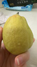 京鲜生新疆库尔勒香梨 净重3斤单果120g+ 新鲜水果 源头直发 实拍图