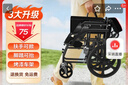 京巧【金榜推荐】折叠可提轮椅老人专用出行小型轻便旅行便携式手推车 实拍图