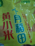 十月稻田 黄小米1kg 原粮产自赤峰市敖汉旗 内蒙古 敖汉小米 小米粥 实拍图