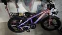 凤凰山地自行车男女变速山地车碟刹青少年儿童自行车学生单车 星际 粉紫【变速】后座+LED灯+三刀轮 22寸【适合130-170cm】 实拍图