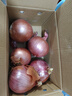 京鲜生 甘肃紫皮洋葱带皮 净重5斤 单果300g+ 新鲜蔬菜源头直发 实拍图