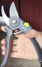 得力（deli）修枝剪刀树枝剪 防滑砧板果树剪花枝剪盆栽花卉园林园艺修枝神器 实拍图