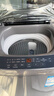海尔（Haier）波轮洗衣机小型全自动8KG家用XQB80-Z10D0京东自营家电国家补贴以旧换新一级能效宿舍出租房单脱水 实拍图