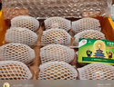 佳沛（zespri）新西兰 阳光金奇异果12粒礼盒特大果单果约122-146g 猕猴桃 水果 实拍图