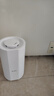 格力（GREE）加湿器家用静音卧室床头小型母婴除菌拆洗空气加湿器办公室桌面落地大雾量宿舍取暖有雾加湿(X70a) 实拍图