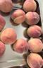 什谷丰冬桃脆甜桃鲜桃子当季新鲜脆桃软桃生鲜水果 3斤 （单果约80-120g） 实拍图