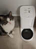 小佩智能自动喂食器SOLO白色 猫碗猫狗喂食器定时定量猫咪自动投食器 实拍图
