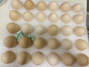 CP  正大 鲜鸡蛋 30枚 3.18斤 早餐食材 优质蛋白  礼盒装 实拍图