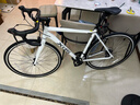 喜德盛公路自行车25款RC200成人车14速变速车 白灰700C*510MM 实拍图