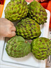 鲜福林云南牛奶凤梨释迦果新鲜应季水果超甜糯番荔枝 3斤净重单果150g+（新鲜直发） 实拍图