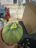 京鲜生 海南哈密瓜/西州蜜 1粒装 2.5斤起 生鲜水果 实拍图