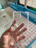 绿联【相机键全包|软边不伤机】适用iphone17手机壳苹果17保护套超薄散热气囊防摔保护镜头全包透明 实拍图