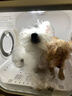 霍曼宠物智能烘干箱 猫咪烘干机狗狗全自动吹干箱底部出风循环换气 实拍图