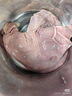 双汇猪肚子净重2斤袋免洗猪肚子整只生鲜猪肉煲汤猪肚鸡肚包鸡食材 实拍图