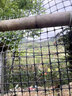 界图 塑料网格防护养殖养鸡围栏网玉米网围栏安全网防护网格护栏围网 1.8米高+3厘米孔+扎带 3.0mm厚(50米/卷)【养鸡养鸭】 实拍图