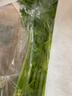 【24小时菜】大芹菜约400g 实拍图