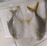 翔泰 海南金鲳鱼净重900g 2条装  鱼类生鲜 火锅食材 海鲜水产  实拍图