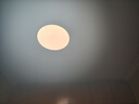 TCL吸顶灯led卧室灯全屋灯具套餐阳台餐厅现代简约三防灯24W白光 实拍图