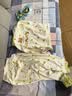 优奇婴儿衣服分体套装春秋季男女宝宝2025新款新生初秋外出服两件套 实拍图