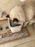 小佩智能【无线】饮水机MAX 宠物锂电池抑菌猫咪狗狗饮水喝喂水器 【可沸水清洗版】无线饮水机MAX2 实拍图