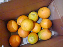 集南鲜 赣南脐橙 江西橙子新鲜现摘水果脐橙时令生鲜水果甜橙 水果礼盒 净重9斤 甄选橙 单果70-80mm 实拍图