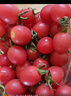 京鲜生 千禧水果小番茄/圣女果 净重2斤 生鲜水果 实拍图