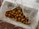 京鲜生 泰国精选进口龙眼  净重1斤 果径23-25mm 水果 源头直发包邮 实拍图