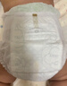 babycare金山茶花拉拉裤XL34片(12-17kg)婴儿尿不湿超薄透气新生柔花苞裤 实拍图