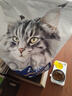卫仕深海美毛爆爆袋 猫干粮 成猫幼猫全阶段冻干注心鲜肉猫粮6.18kg 实拍图