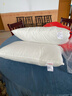 恒源祥枕头全棉抗菌成人家用星级酒店可水洗纯棉高弹枕芯单只 实拍图