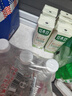 豆本豆豆奶纯豆奶250ml*12盒*2整箱无添加蔗糖植物蛋白饮料学生奶早餐奶 实拍图