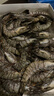 GUO LIAN国联 黑虎虾超大规格斑节虾无冰净重2斤 16-20只高虾青素虾类海鲜 实拍图