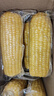 京鲜生 东北黄玉米260g*10棒 真空包装黏玉米棒粘玉米 源头直发 实拍图