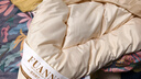 富安娜51%澳洲进口羊毛被子 抑菌冬季加厚被芯单人大豆被5.8斤152*210cm 实拍图