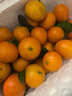 京鲜生 广西砂糖橘 净重4.5斤 单果45-55mm  生鲜礼盒 源头直发包邮 实拍图