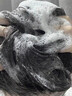 爱肤宜山茶花控油洗发水去屑止痒控油持久蓬松洗头膏1200ml 实拍图